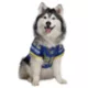 Product Snoop Doggie Doggs Halftime Dog Jersey