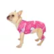 Product Snoop Doggie Doggs Boss Lady Dog Pajamas