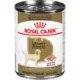 Product Royal Canin Breed Health Nutrition Labrador Retriever Canned Dog Food - Chicken & Pork