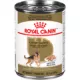 Product Royal Canin Breed Health Nutrition German Shepherd Adult Canned Dog Food  - Chicken & Pork