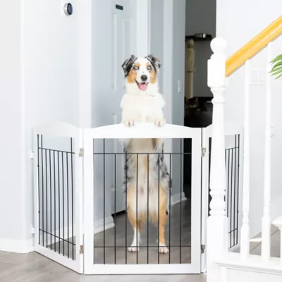 Puppy gate petsmart best sale