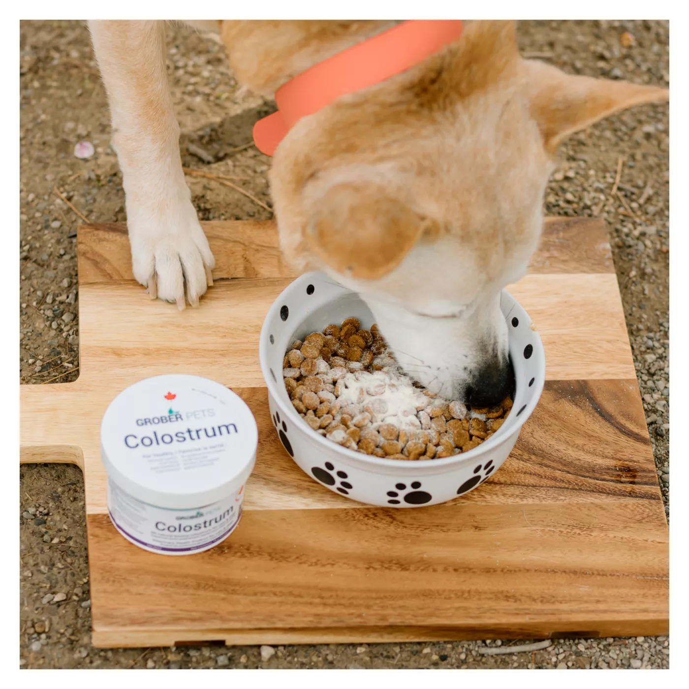 Colostrum for dogs petsmart store