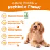 Zesty Paws  Probiotic Chews - Pumpkin image thumbnail 2