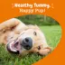 Zesty Paws  Probiotic Chews - Pumpkin image thumbnail 4