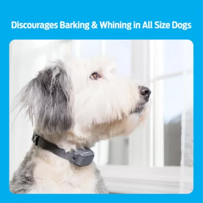 Petsmart stop barking best sale