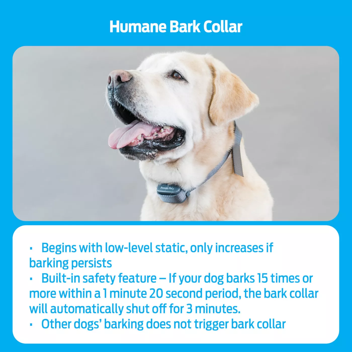 Anti bark collar petsmart best sale