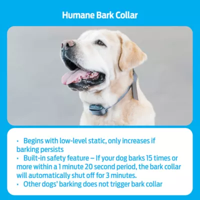 Petsmart bark collar best sale