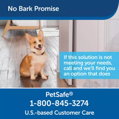 Indoor bark control for dogs best sale