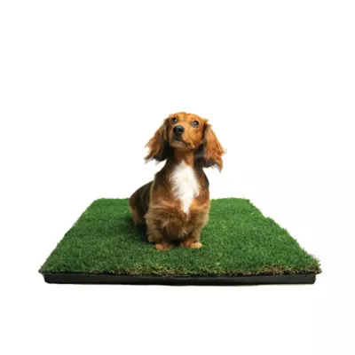 Product Gotta Go Grass The Natural Relief Dog Potty Pads, 16-in x 24-in
