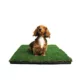 Product Gotta Go Grass The Natural Relief Dog Potty Pads, 16-in x 24-in