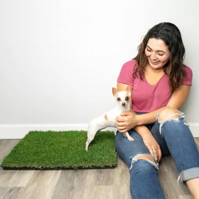 Product Gotta Go Grass The Natural Relief Dog Potty Pads, 16-in x 24-in