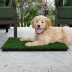 Gotta Go Grass The Natural Relief Dog Potty Pads with Tray, 16-in x 24-in image thumbnail 6