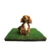 Gotta Go Grass The Natural Relief Dog Potty Pads, 16-in x 24-in image thumbnail 4