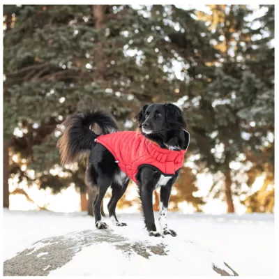 Product GF PET® Elasto-fit® Reversible Chalet Dog Jacket