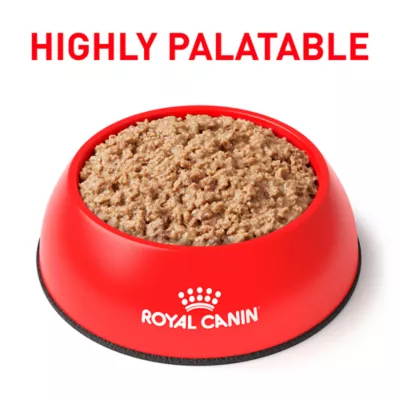 Royal canin urinary so cat food canada sales