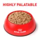 Product Royal Canin® Veterinary Diet Urinary SO Wet Cat Food Multipack - 5.1 oz, Loaf in Sauce