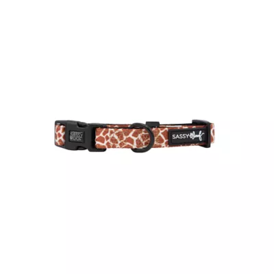 Product Sassy Woof Giraffic Park Dog Collar