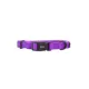 Product Sassy Woof Neon Purple Dog Collar