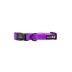 Sassy Woof Neon Purple Dog Collar image thumbnail 2