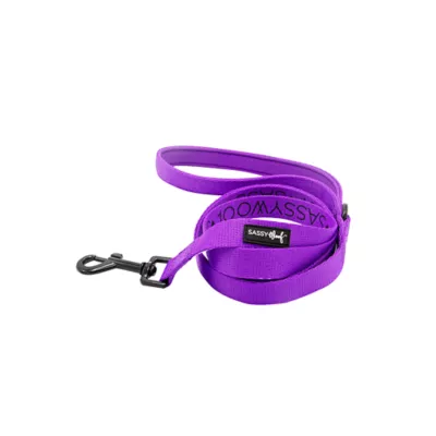 Product Sassy Woof Neon Purple Dog Leash: 5-ft long