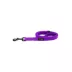 Sassy Woof Neon Purple Dog Leash: 5-ft long image thumbnail 2