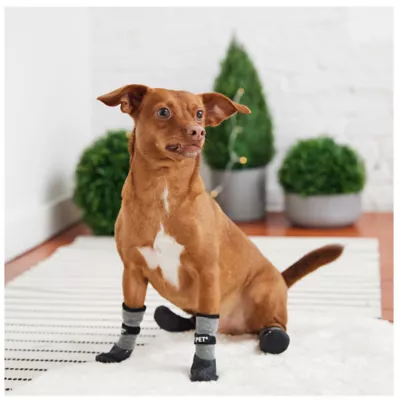 Petsmart booties best sale