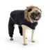 GF PET® Elasto-fit® Creekside Dog Snowsuit image thumbnail 3