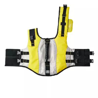 Petsmart life jacket best sale