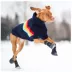 GF PET® Elasto-fit® Dog Booties image thumbnail 5