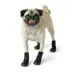 GF PET® Elasto-fit® Dog Boots image thumbnail 2