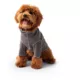 Product GF PET® Gondola Base Layer for Dogs