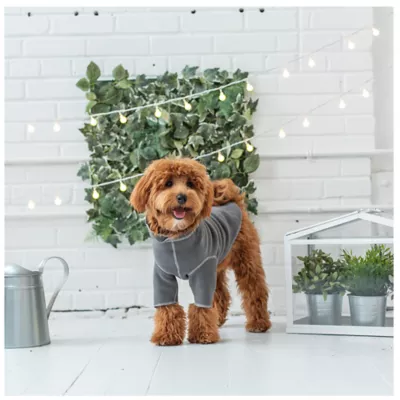 Product GF PET® Gondola Base Layer for Dogs