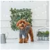 GF PET® Gondola Base Layer for Dogs image thumbnail 4