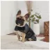 GF PET® Blanket Dog Jacket image thumbnail 4