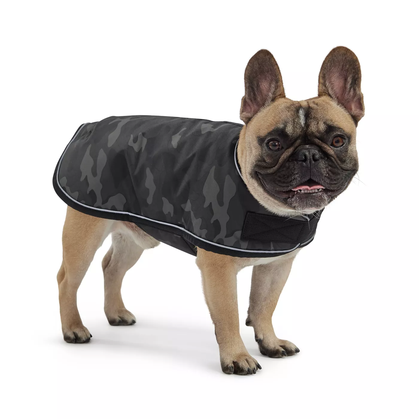 Camo orders dog coats