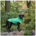 GF PET® Elasto-fit® Reversible Dog Raincoat image thumbnail 4