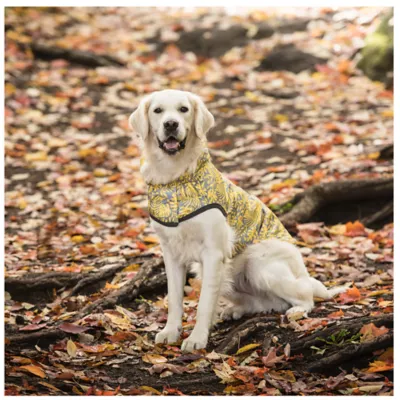 Product GF PET® Elasto-fit® Reversible Dog Raincoat
