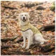 Product GF PET® Elasto-fit® Reversible Dog Raincoat