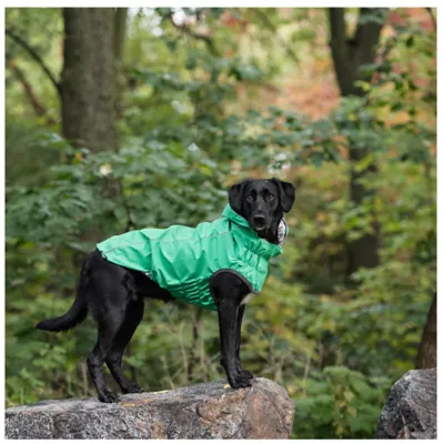 Product GF PET® Elasto-fit® Reversible Dog Raincoat