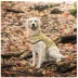 GF PET® Elasto-fit® Reversible Dog Raincoat image thumbnail 4