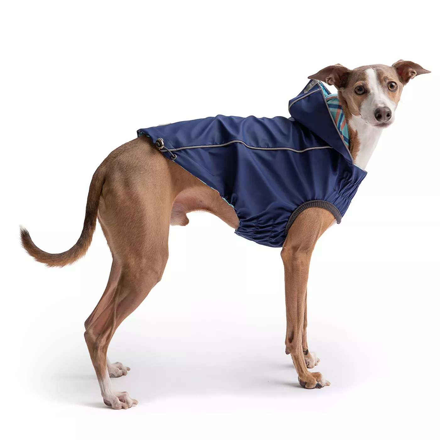 Dog rain jacket petsmart best sale