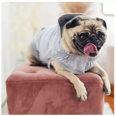 Product GF PET® Elasto-fit® Urban Dog Hoodie