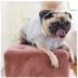 GF PET® Elasto-fit® Urban Dog Hoodie image thumbnail 4