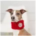 GF PET® Chalet Tube Dog Scarf image thumbnail 3