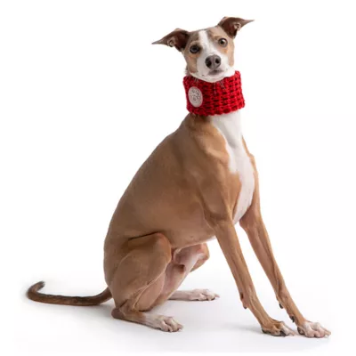 GF PET® Chalet Tube Dog Scarf - Image 2