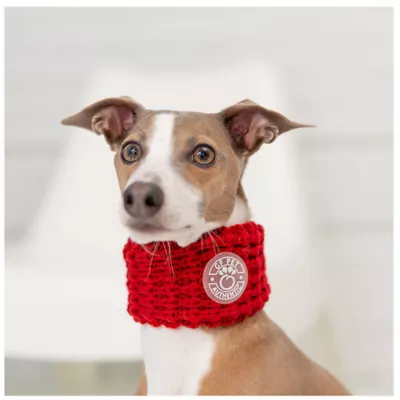 GF PET® Chalet Tube Dog Scarf - Image 3