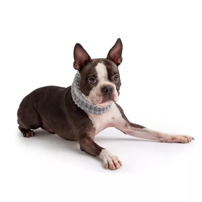 GF PET® Chalet Tube Dog Scarf - Image 2