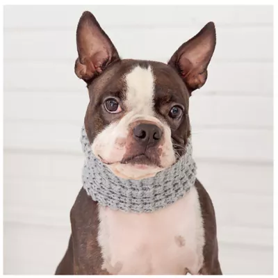 GF PET® Chalet Tube Dog Scarf - Image 3