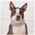 GF PET® Chalet Tube Dog Scarf image thumbnail 3