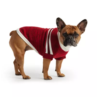 GF PET® Trekking Dog Sweater - Image 2
